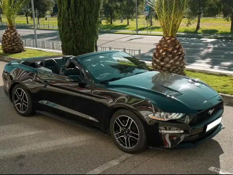 Car rental without a driver in Dagomys